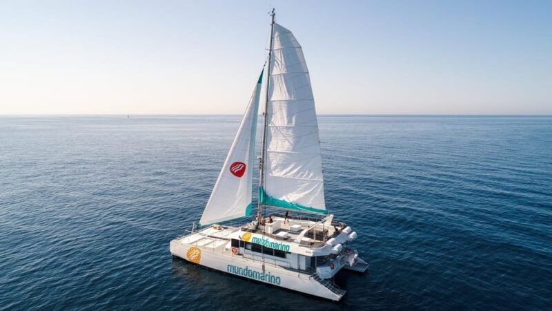 malaga-sailing-catamaran-with-swimming-and-paella-lunch