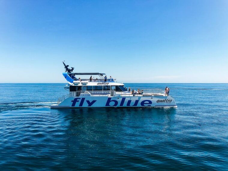 malaga-scenic-catamaran-cruise