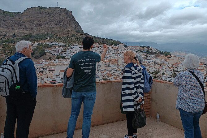 malaga-small-group-tour-with-wine-tasting-culture-vineyard-2