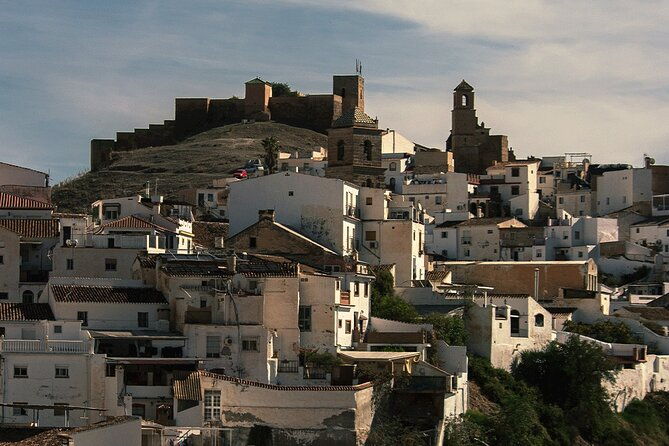 malaga-small-group-tour-with-wine-tasting-culture-vineyard
