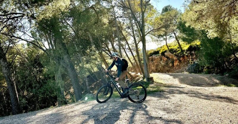 malaga-the-chorro-e-bike-guided-tour-2h-13km
