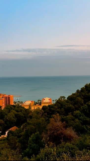 Malaga: Tour in a comfortable, modern, eco-friendly, and socially conscious electric tuk tuk. - Key Points