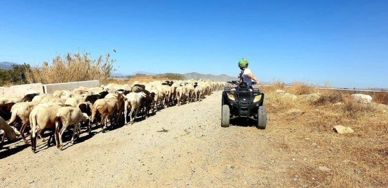 malaga-tour-off-road-1-hour-solo-all-terrain-quad-adventure