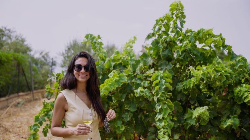 malaga-vineyard-and-cellar-visit-with-6-top-wines-and-tapas