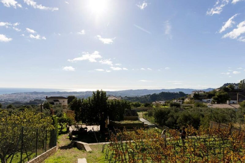 malaga-vineyard-and-cellar-visit-with-6-top-wines-and-tapas