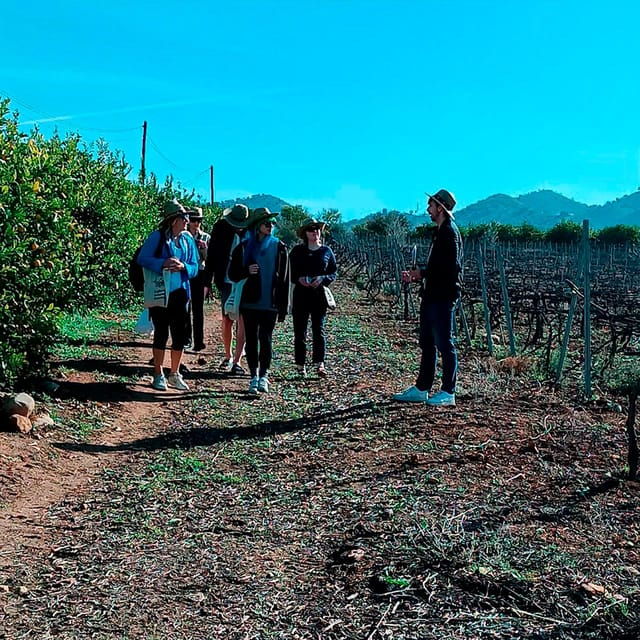 malaga-white-village-vineyard-and-wine-tasting-wine-tour