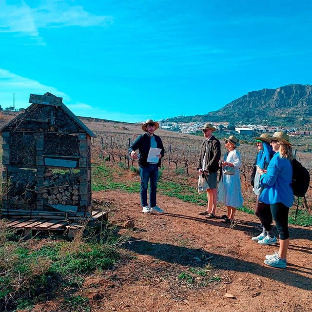 malaga-white-village-vineyard-and-wine-tasting-wine-tour