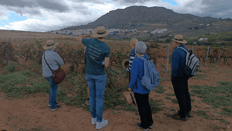 malaga-white-village-vineyard-and-wine-tasting-wine-tour