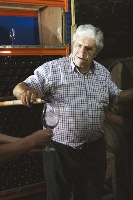 Málaga:Exclusive Heroic Vineyard Visit & Natural WineTasting - The Vineyard and Winemaking Philosophy