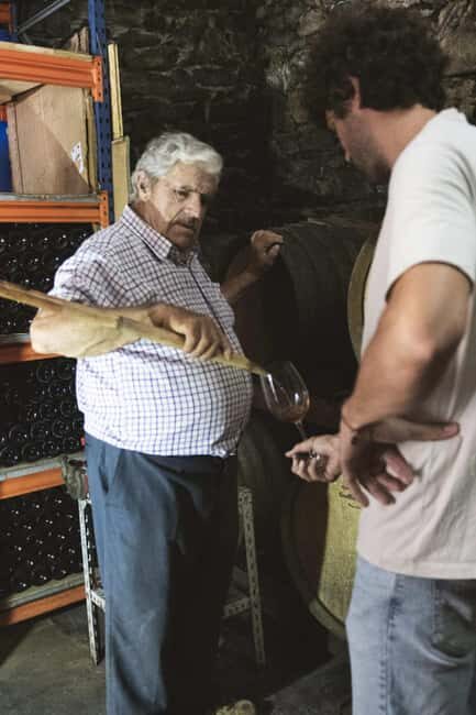 Málaga:Exclusive Heroic Vineyard Visit & Natural WineTasting - Food Pairings and Local Tapas