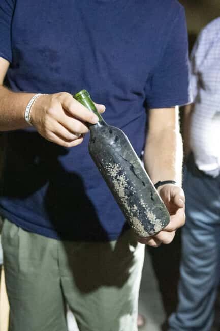 Málaga:Exclusive Heroic Vineyard Visit & Natural WineTasting - Atmosphere and Comfort