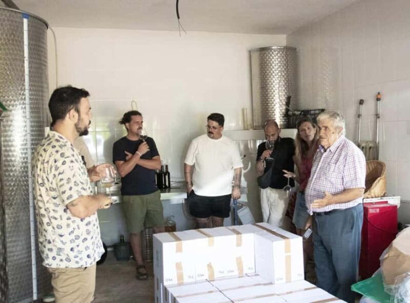 Málaga:Exclusive Heroic Vineyard Visit & Natural WineTasting - Practical Details and Value