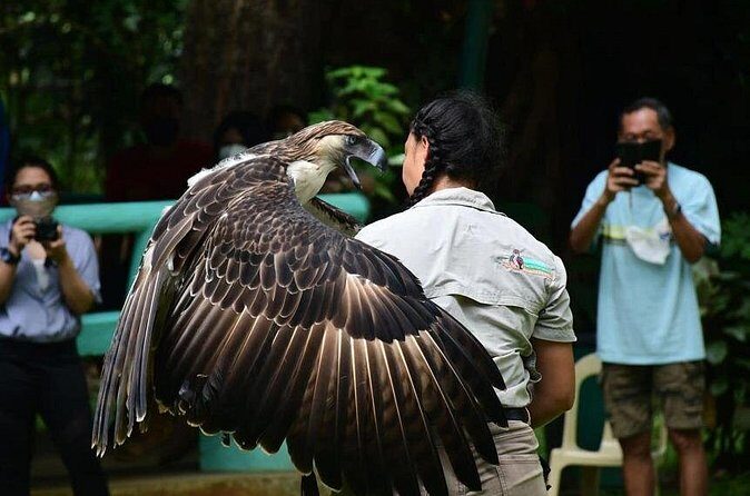 Malagos Chocolate Factory & Museum , Philippine Eagle Center - FAQ