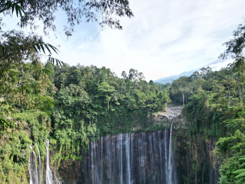 Malang: Bromo & Tumpak Sewu Shared Transfer & Tour - Discover the Magic of East Java: Bromo & Tumpak Sewu Shared Tour