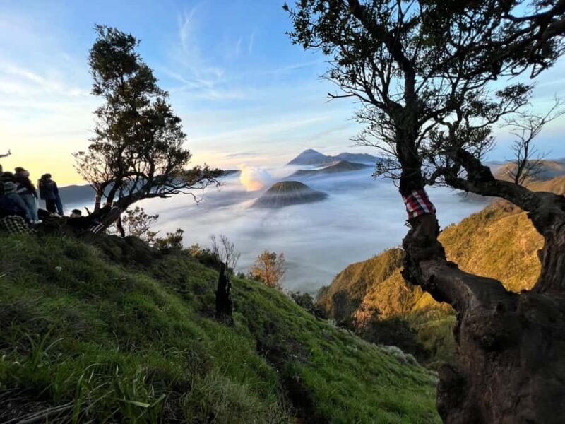 Malang: Bromo & Tumpak Sewu Shared Transfer & Tour - Transport & Logistics: Why It Matters