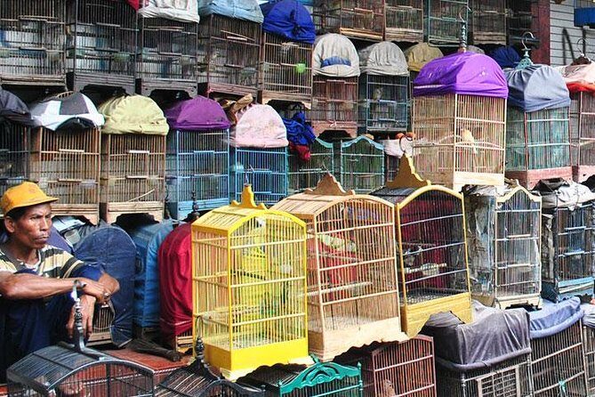 Malang local life kampong walking tour - city highlights in between // 4 - 6 hrs - An In-Depth Look at the Malang Kampong Walking Tour