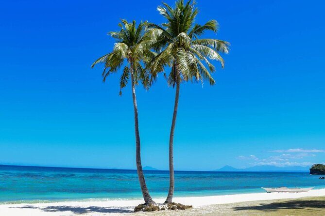 Malapascua Island Day Tour from Cebu City - Practical Details and What You Should Know