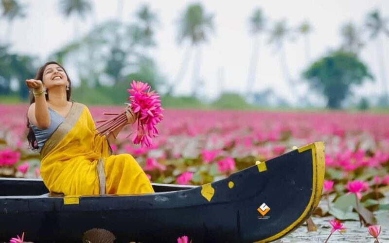 Malarikkal Viewpoint Tour from Cochin-Keralas Hidden Gem - Key Points