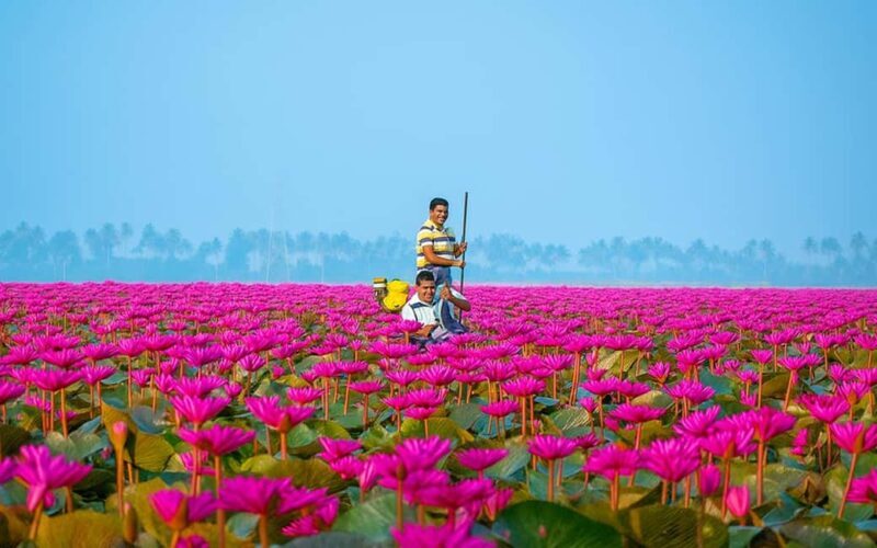 Malarikkal Viewpoint Tour from Cochin-Keralas Hidden Gem - Frequently Asked Questions