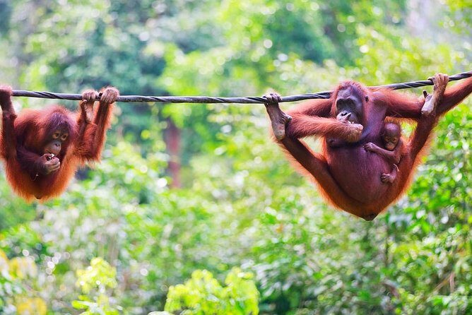 Malaysia: A'famosa Melaka Ticket - An Overview of the Experience