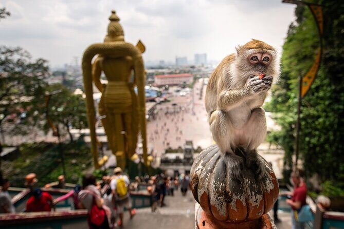 Malaysia - Countryside and Batu Caves Tour from Kuala Lumpur - The Itinerary Deep Dive
