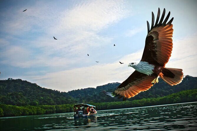 Malaysia Langkawi Island Hopping Tour Experience - Key Points
