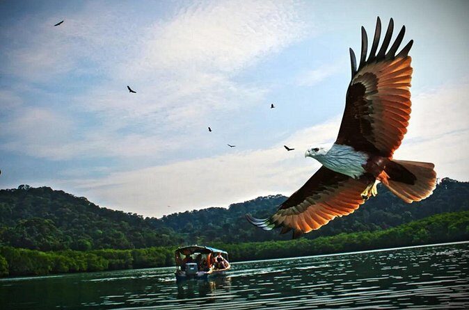 Malaysia Langkawi Island Hopping Tour Experience - Frequently Asked Questions