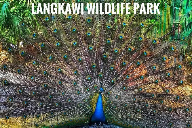 Malaysia: Langkawi Wildlife Park Entry Ticket - Key Points