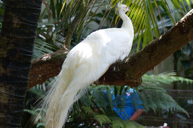 Malaysia: Langkawi Wildlife Park Entry Ticket - Authentic Visitor Insights