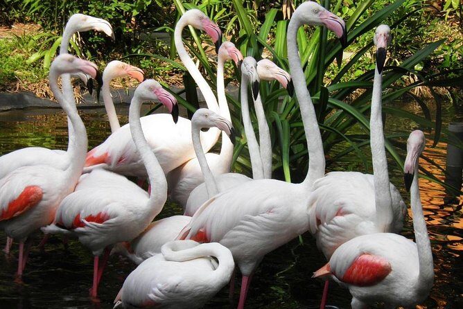 Malaysia: Langkawi Wildlife Park Entry Ticket - The Sum Up