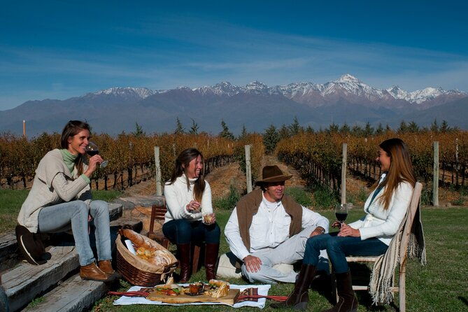 malbec-mountain-uco-valley-private-wine-tour-with-gourmet-lunch
