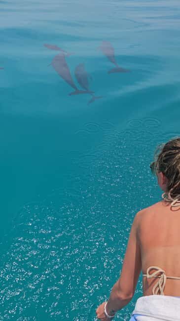 Maldives, Dhiffushi Shared Sunset Dolphin Cruise - Quick Introduction