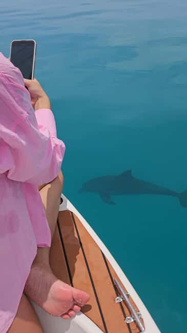 Maldives, Dhiffushi Shared Sunset Dolphin Cruise - Who Should Consider This Tour?