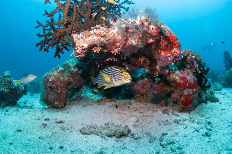 Maldives: Discover Scuba Diving - Introduction