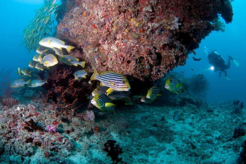 Maldives: Discover Scuba Diving - The Experience in Detail