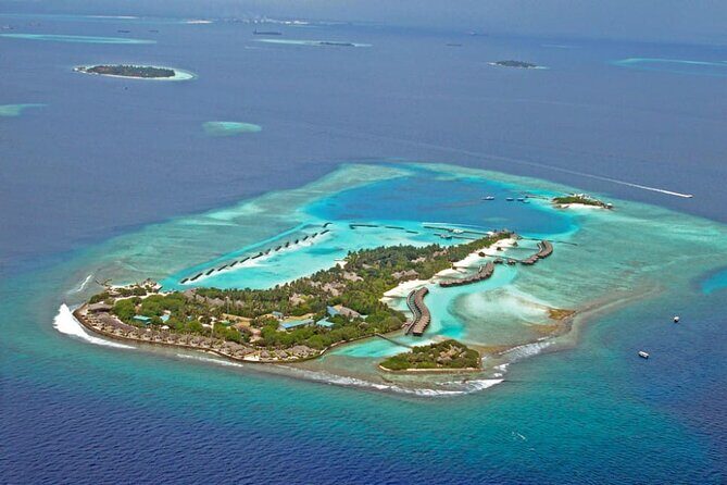Maldives: Dolphin Watching Tour with Island Cruise - The Sum Up