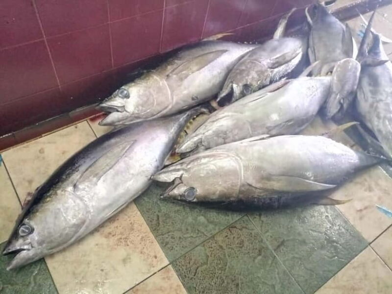 Maldives: Male City Private Walking Tour - Local Culture and Hidden Gems