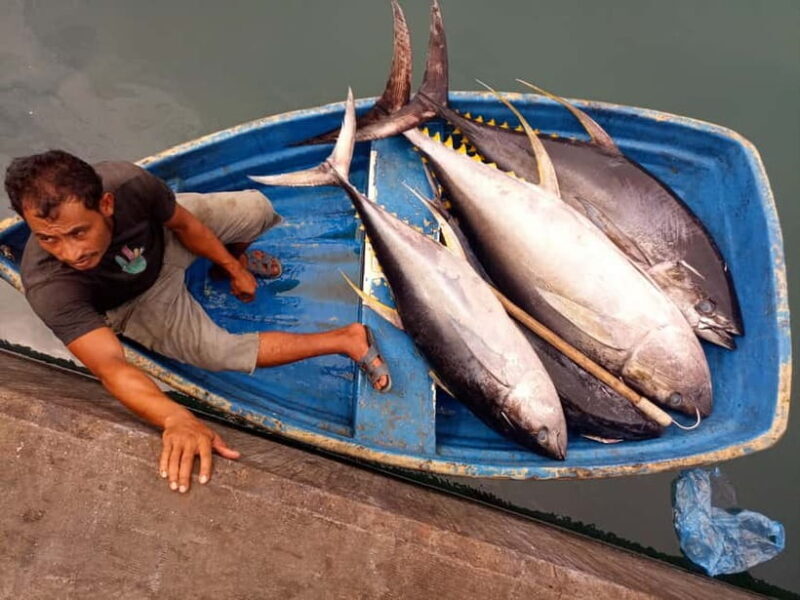 Maldives: Male City Private Walking Tour - Practical Details and Value