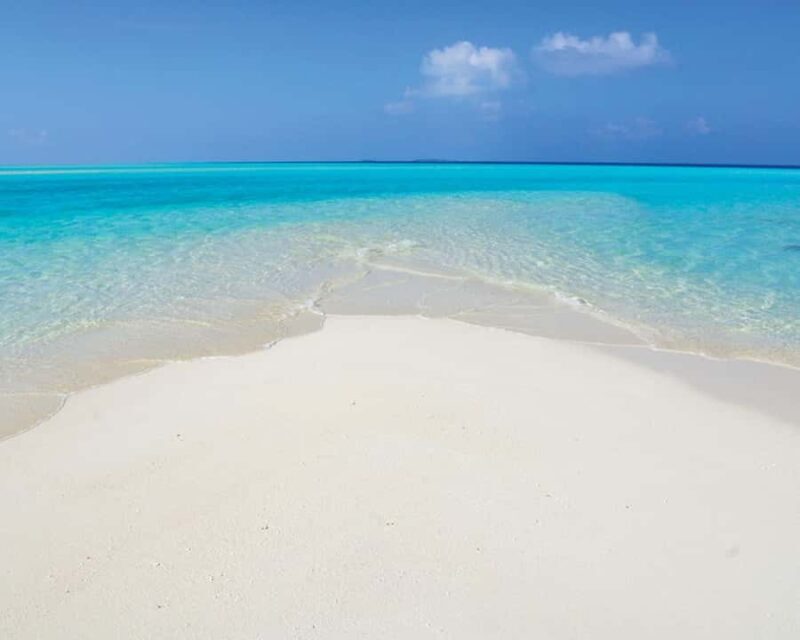 Maldives: Snorkeling with Nurse Sharks, Coral Reef, Sandbank - Key Points