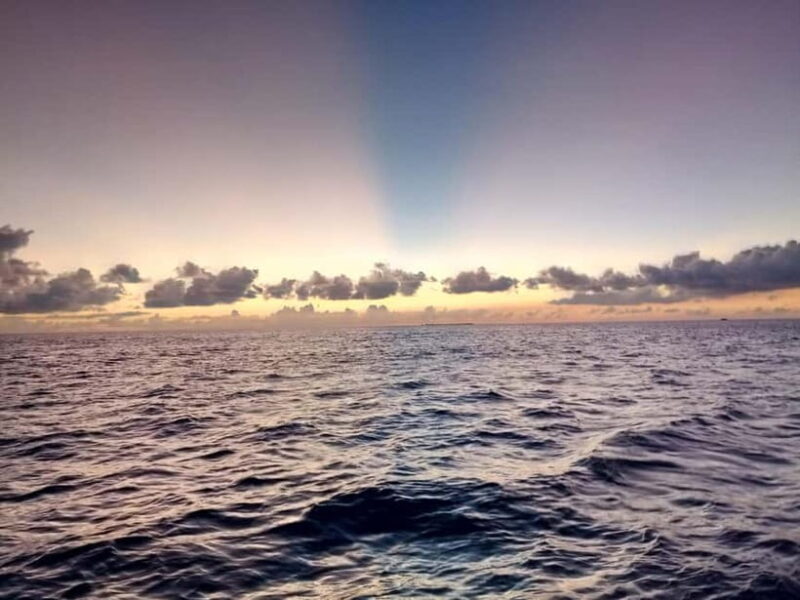 Maldives: Sunset Cruise with Dolphin Watching - What to Expect on the Sunset Dolphin Cruise