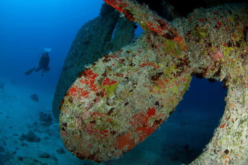 Maldives: Victory Shipwreck Scuba Dive - Key Points: