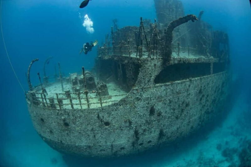 Maldives: Victory Shipwreck Scuba Dive - An In-Depth Look at the MV Maldive Victory Wreck Dive