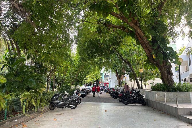 Male' City Walking Tour Explore All the Top Highlights - Final Thoughts: Is This Tour for You?