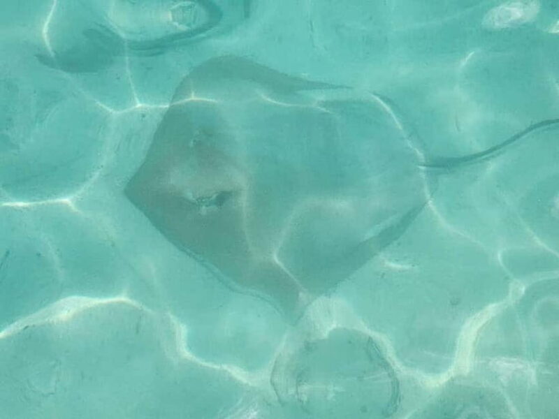 Malé: Two-Point Snorkelling Adventure - What to Expect During the Tour