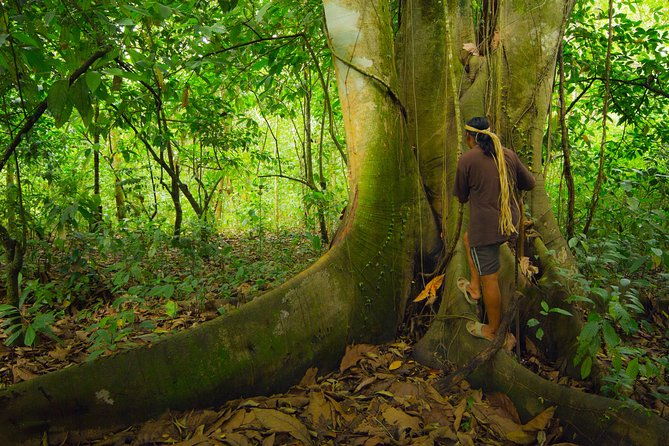 maleku-indigenous-reserve-tour