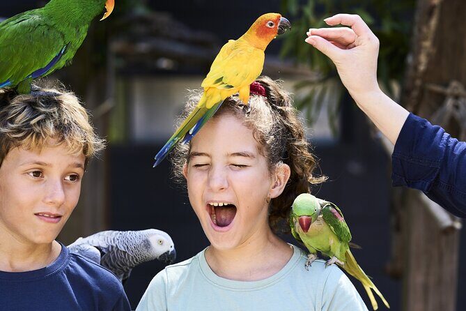 Maleny Botanic Gardens Bird Aviary Experience Ticket - Exploring the Experience Itself
