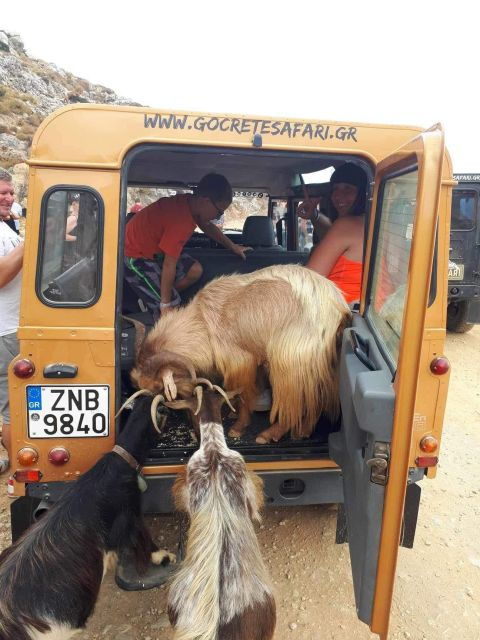 malia-east-crete-famous-places-family-and-child-friendly
