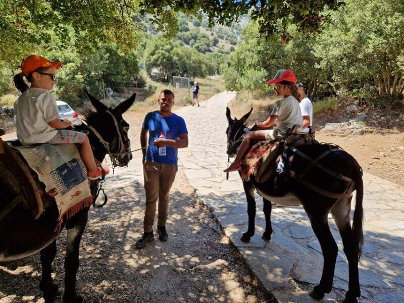 malia-lasithi-plateau-zeus-cave-guided-tour