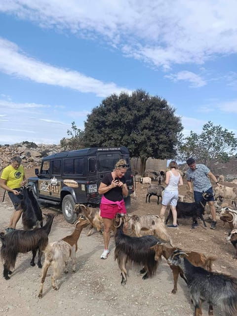 malia-lasithi-plateau-zeus-cave-guided-tour
