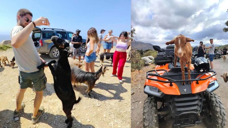 Malia: Off-Road Quad Safari Tour with Lunch and Transfers - A Thrilling Ride Through Crete’s Natural Beauty
